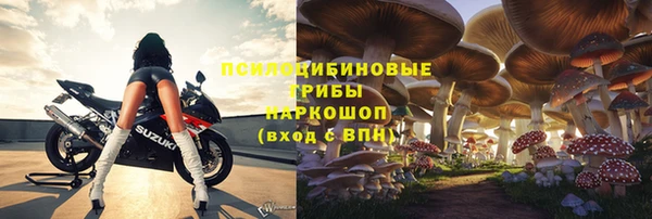 прущая мука Абаза
