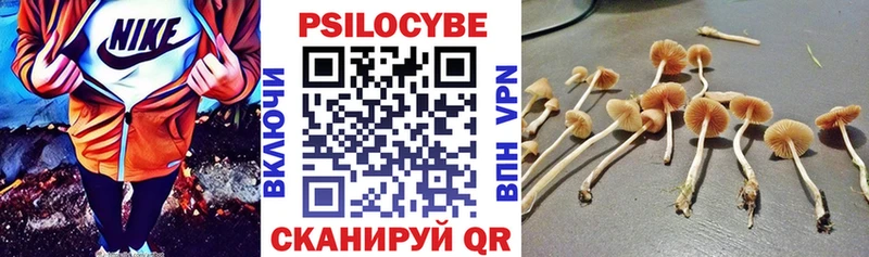цены наркотик  Лесозаводск  Галлюциногенные грибы мицелий 